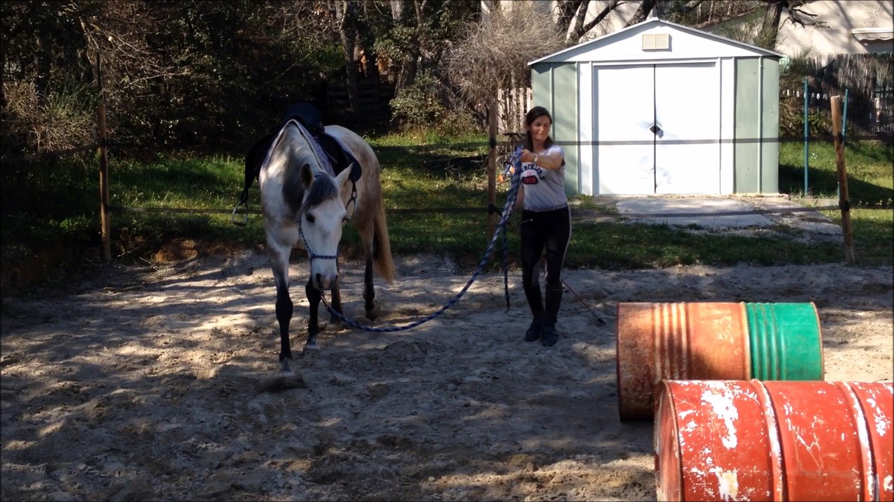 arabesque challenge 3e mois un dos tres