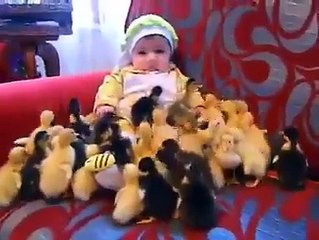 Cute Baby with Duck Chicks