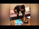 Virat Kholi celebrates his 28th birthday, shares video on social media | Oneindia News