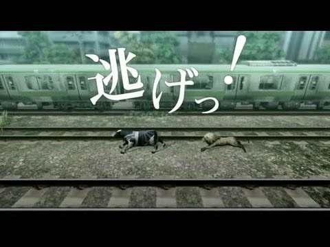 Tokyo Jungle : chihuahua trailer