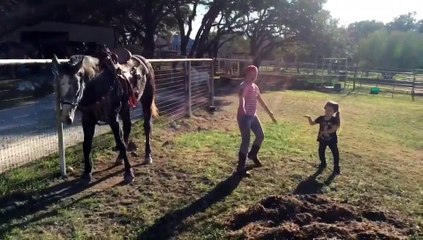 ¡El caballo con más ritmo baila hip hop!