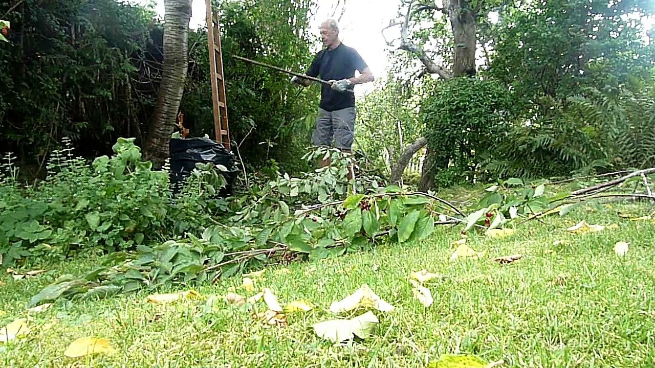Hard garden work