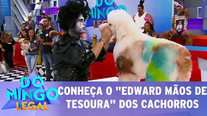 Conheça o Edward mãos de tesoura dos cachorros