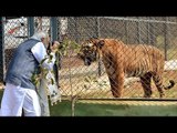 PM Modi clicks photo of tiger during Jungle Safari in Nandan Van | Oneindia News