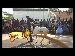 Khar Bii 2012 - Finale Thiès