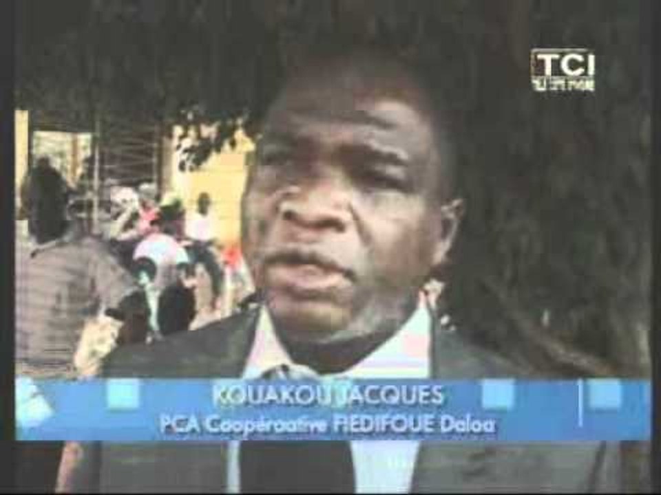Des milliers de planteurs de Cacao de la région de Daloa ont reçu des primes
