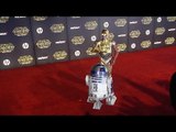 R2-D2 and C-3PO 