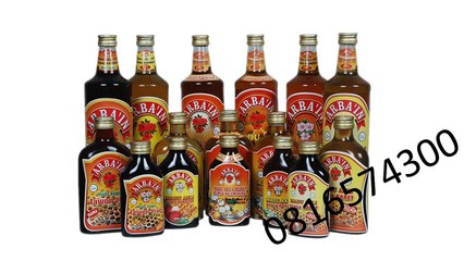 0816574300 Harga Madu Asli Per Botol