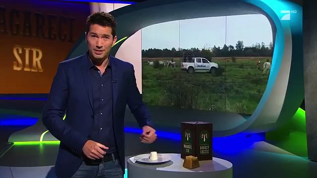 Der teuerste Käse der Welt Galileo Lunch Break