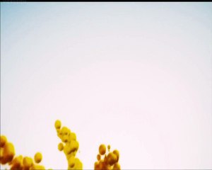 Trophy Entertainment Logo