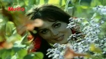 Cahit Berkay - Devlerin Aşkı (Yeşilçam Film Müzikleri HD) Mu©o