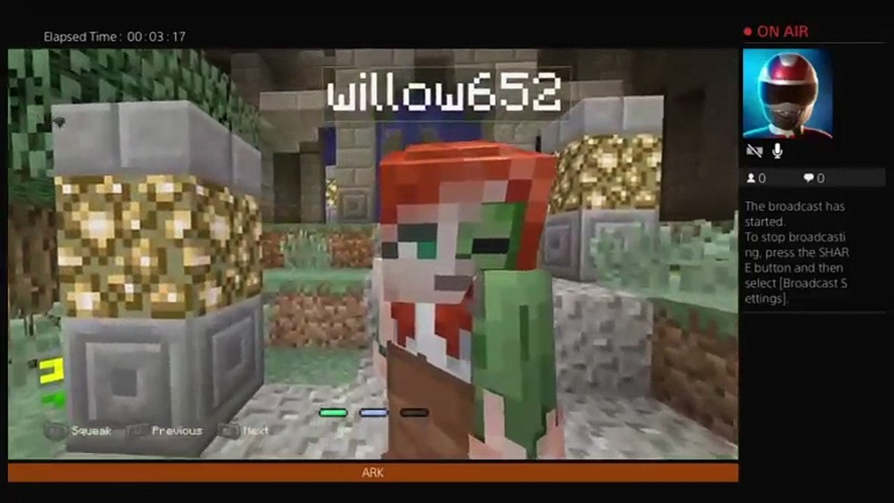 Minecraft (20)