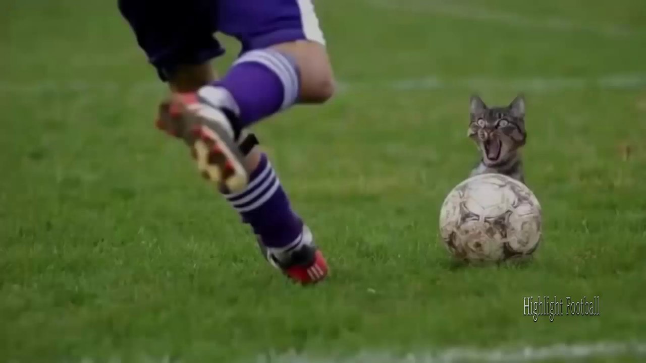 Funny Soccer Moments + Bonus When Soccer Fans Invade the Pitch!