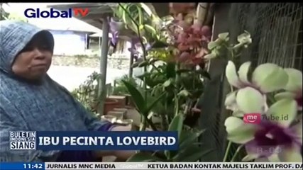 Budidaya Burung Datangkan Keuntungan