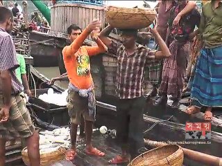 সামুদ্রিক মাছের চাহিদার বড় অংশ আসে বরগুনার পাথরঘাটা থেকে