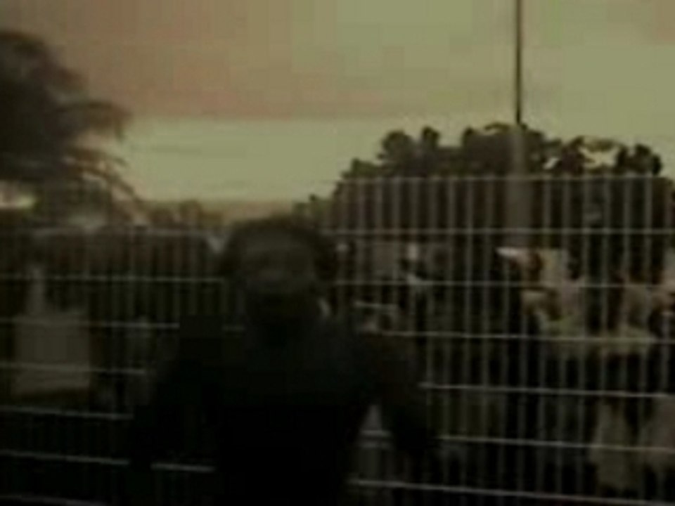 (CLIP)_ LIL LYAN_OU 10 OU DEAD_BIMA.........