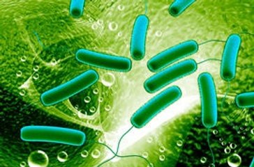 BACTERIA - ESTRUCTURA GENÉTICA Y REPODUCCIÓN : DOCUMENTAL COMPLETO