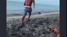 Instant Karma en voulant embêter un chien sur une plage