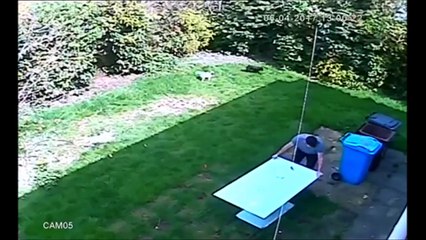 Et bim la table en verre lui pete dans les doigts!