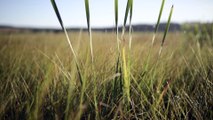 Tourbières > 10. L'hydrogéologie des tourbières