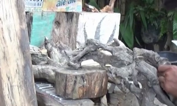 Kreatif, Seniman Ini Sulap Limbah Kayu Jadi Karya Seni