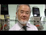 Japanese scientist Yoshinori Ohsumi awarded Nobel Prize for medicine | Oneindia News