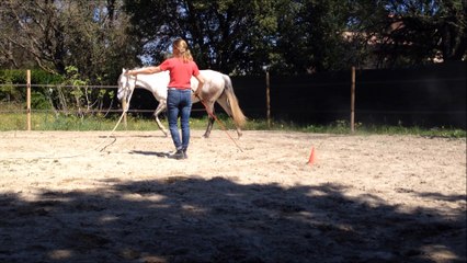 Challenge 3ème mois le jeu de la vague