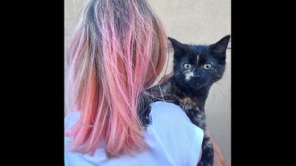 25 Inspirational Ideas for Pastel Pink Hair Making a Bold Statement