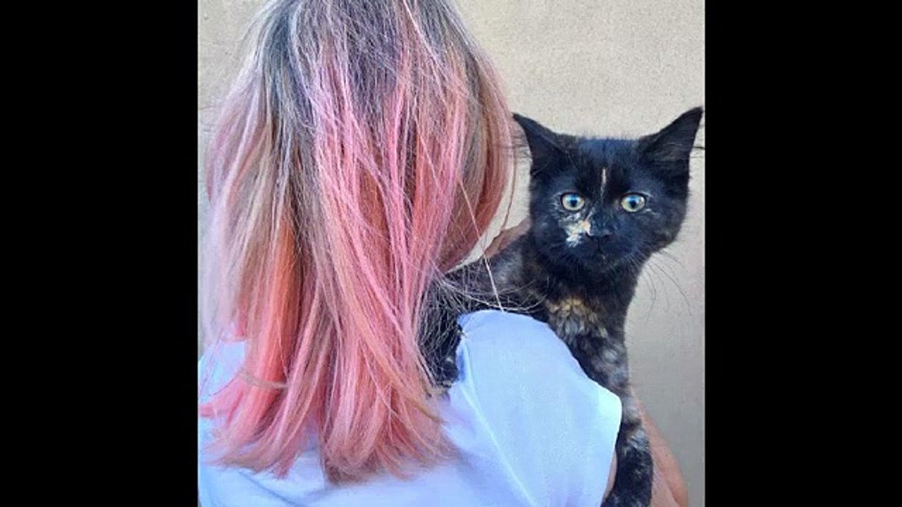 25 Inspirational Ideas for Pastel Pink Hair Making a Bold Statement