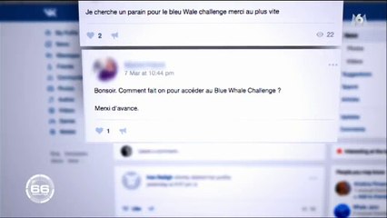 Connaissez-vous le "Blue Whale Challenge" ? Un jeu à l'origine de plusieurs suicides chez des adolescents - Regardez