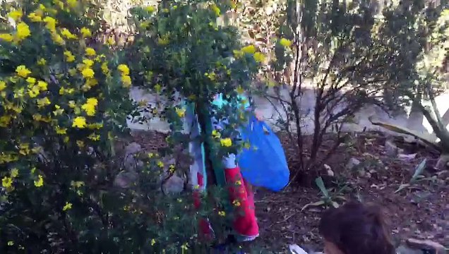 Greg & Max : la chasse aux lapins...