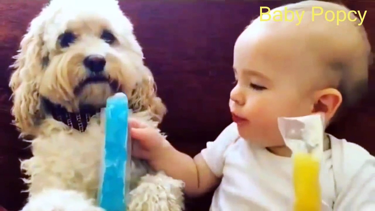 Best Funny Kids Videos 2017 ★ Kids Funny Video ★ Funny Videos For Kids ★ Funny Baby Compilation