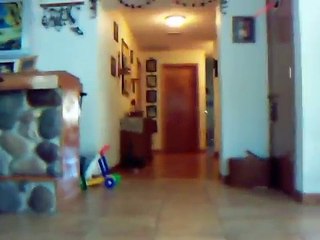 Grumpy Little Fennec Fox Slides to Home