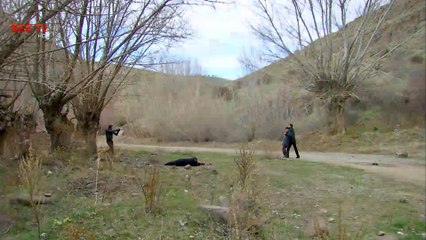 Laawaris - Episode 142 – 17 April,2017 – Promo