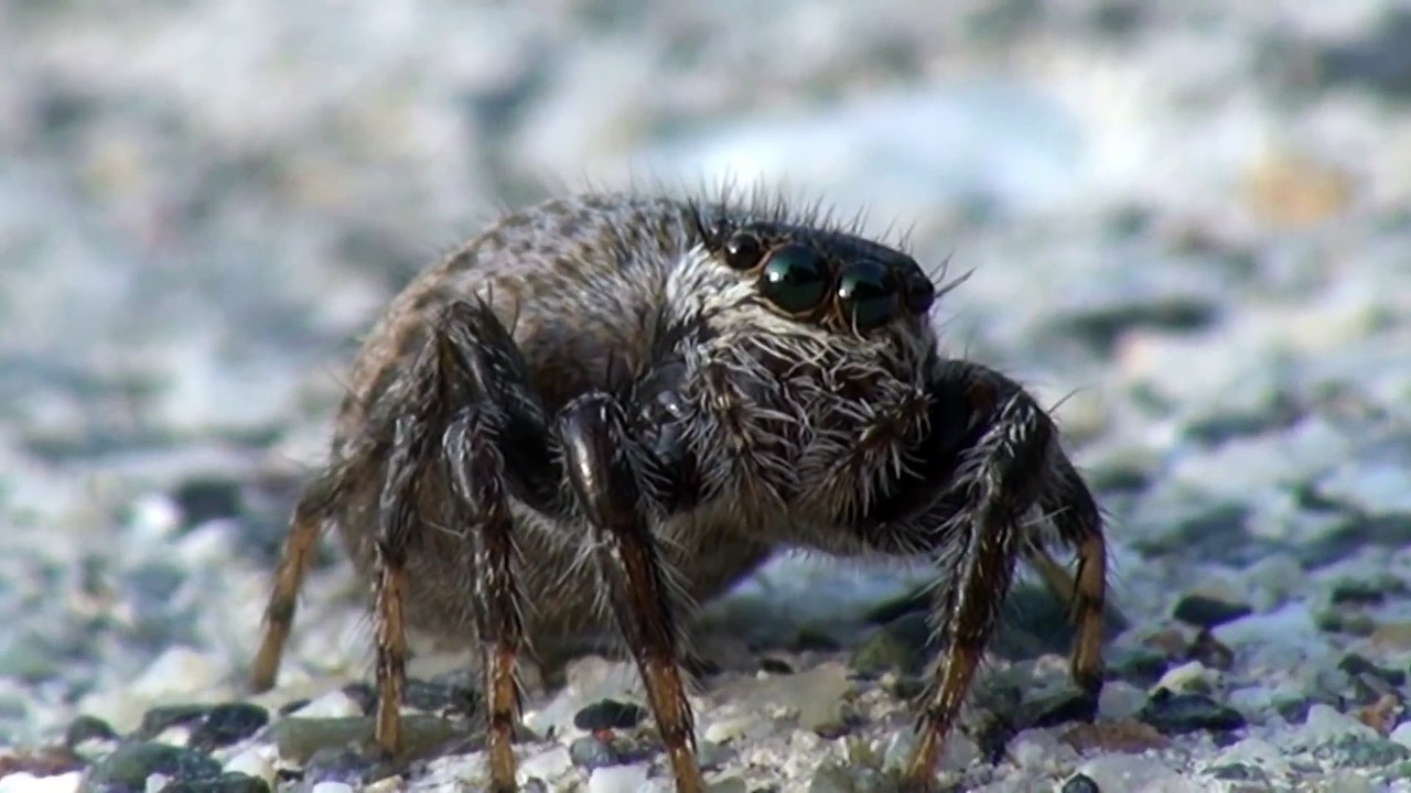 麻田義貴のカワイイ生き物 (10)