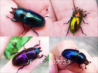 麻田義貴のカワイイ生き物 (7)