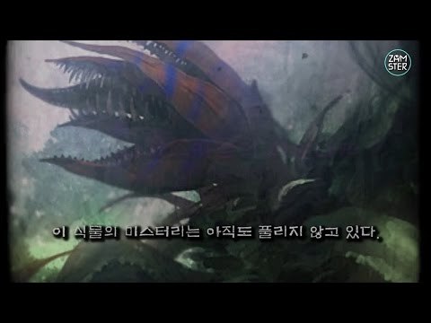 미스터리한 희귀 식물 TOP 7 [미스터리 로드 18회] #잼스터