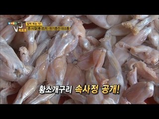 개구리의 배를 열었더니...쥐가 나왔다... [황수경의 VJ리포트] 2회 20170411