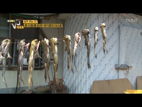 햇빛에 빨래처럼 말려지는 개구리들 [황수경의 VJ리포트] 2회 20170411