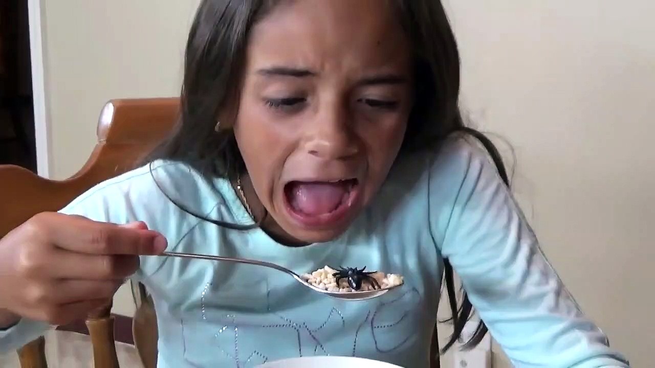 GIANT SPIDER ATTACKS GIRL Saved by Spatula TOYS TO SEE Children's Movie-To53vjh6eoA