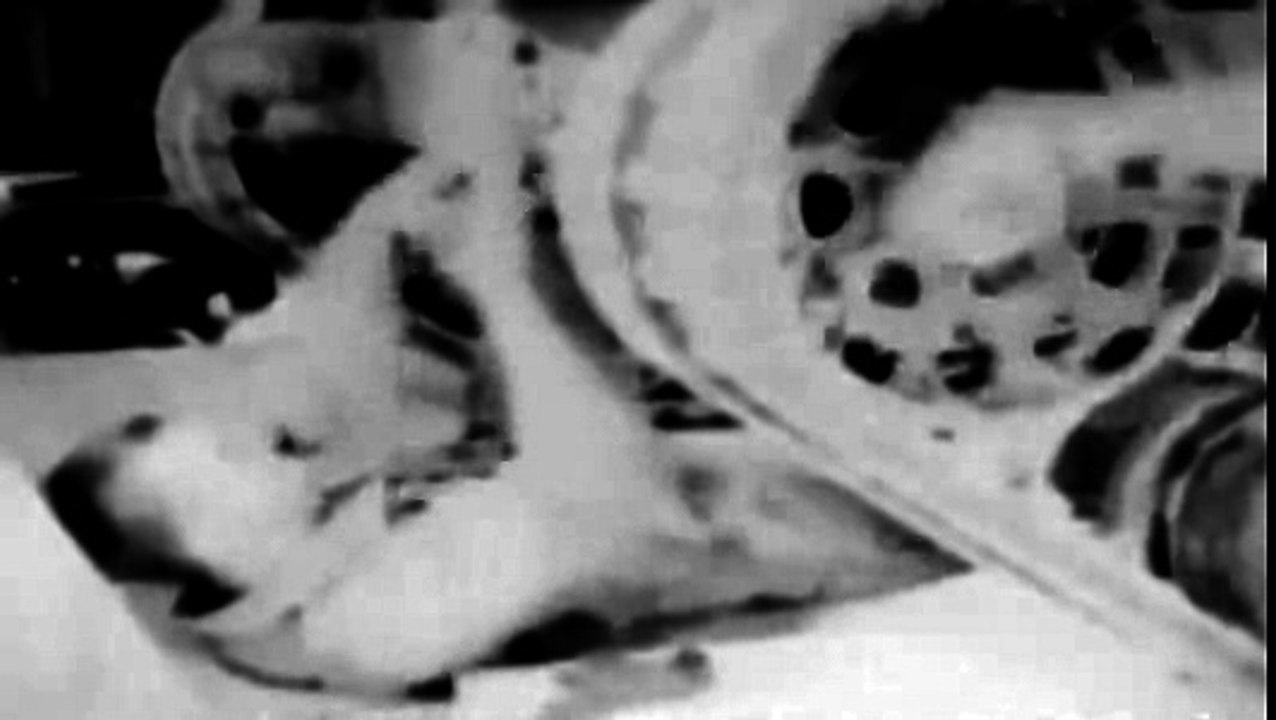 War Dept Film Bulletin 38: Seek, Strike, Destroy