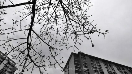 مسٹر لی ضرورت مندوں کے لیے 10 لیٹر پانی سے25 پیالے دلیہ تیار کرتے ہیں۔