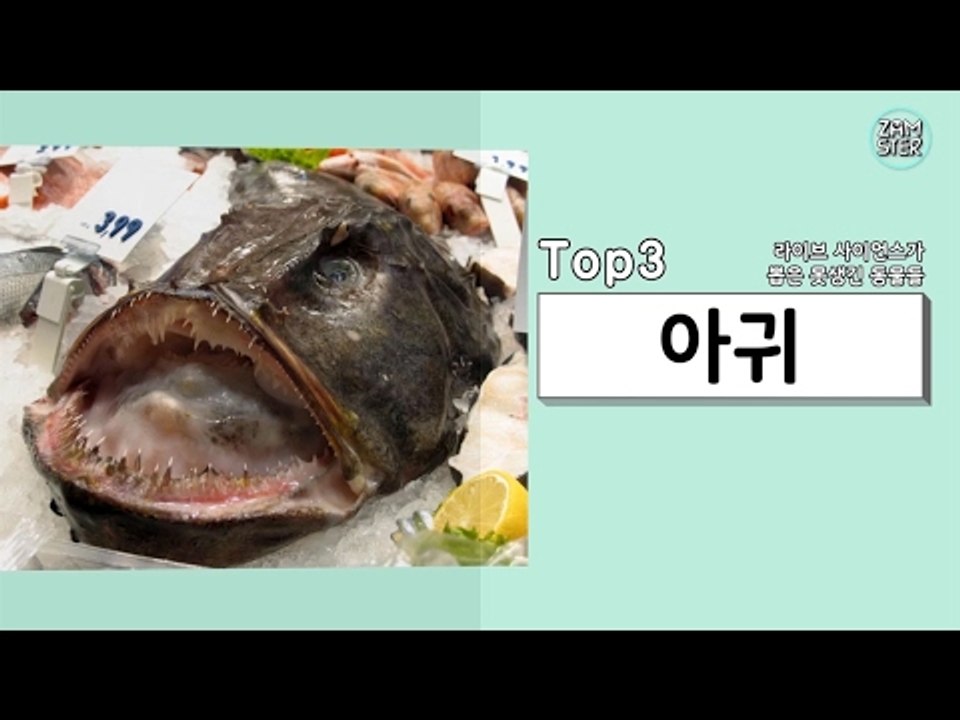 지구 상 제일 못생긴 동물들 top10 [소소북 33회] #잼스터