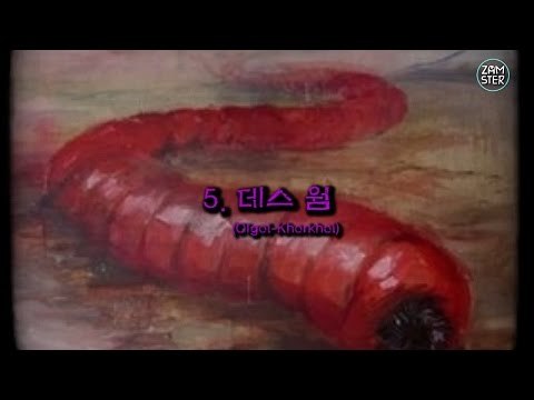 정체불명! 미스터리 생물 TOP 7 [미스터리 로드 17회] #잼스터