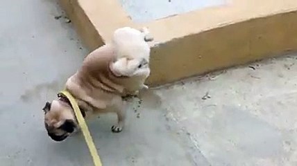 Ulan ne güldüm, o değil de çok güldüm