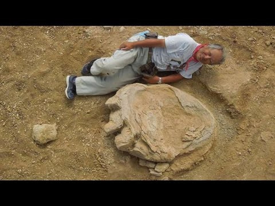 Dinosaur largest footprint discovered in Gobi desert| Oneindia News