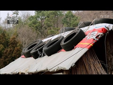 버려진 것들로 직접 만든 그의 집! [자연愛산다] 1회 20170411