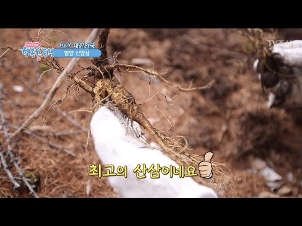 함양산에서 끝없이 발견되는 산삼! [행복한 저녁] 2회 20170411