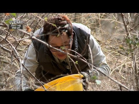 지상렬, 산 속에서 직접 머위 채취! [자연愛산다] 1회 20170411