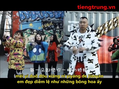 cách học tốt tiếng trung, bài hát : Hoa cúc ngập tràn trên núi